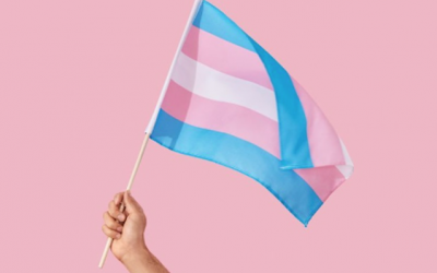 Por mais mulheres transgênero na política